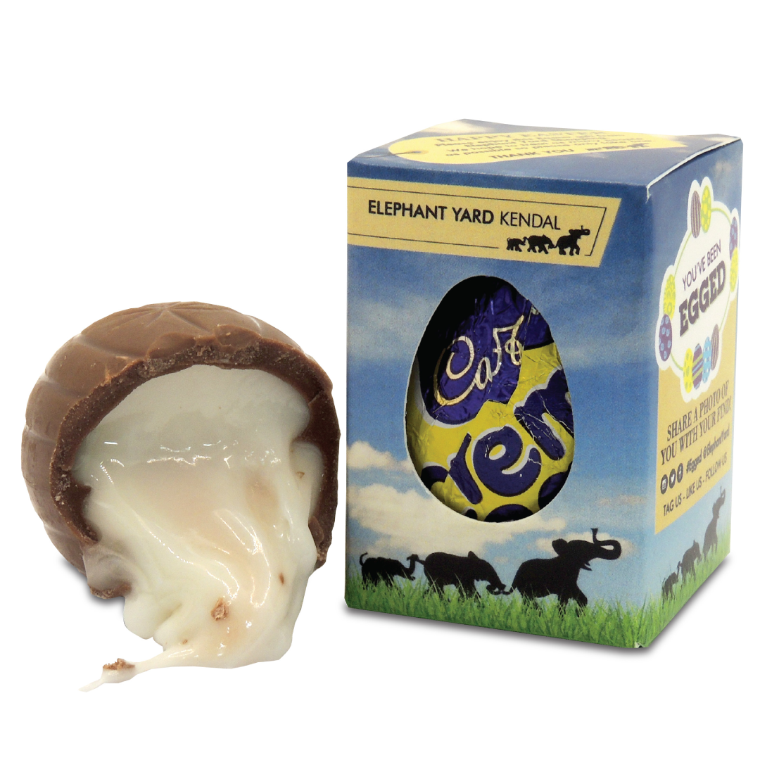 Make Your Promotions Sweeter with Cadbury’s Creme Egg Boxes 